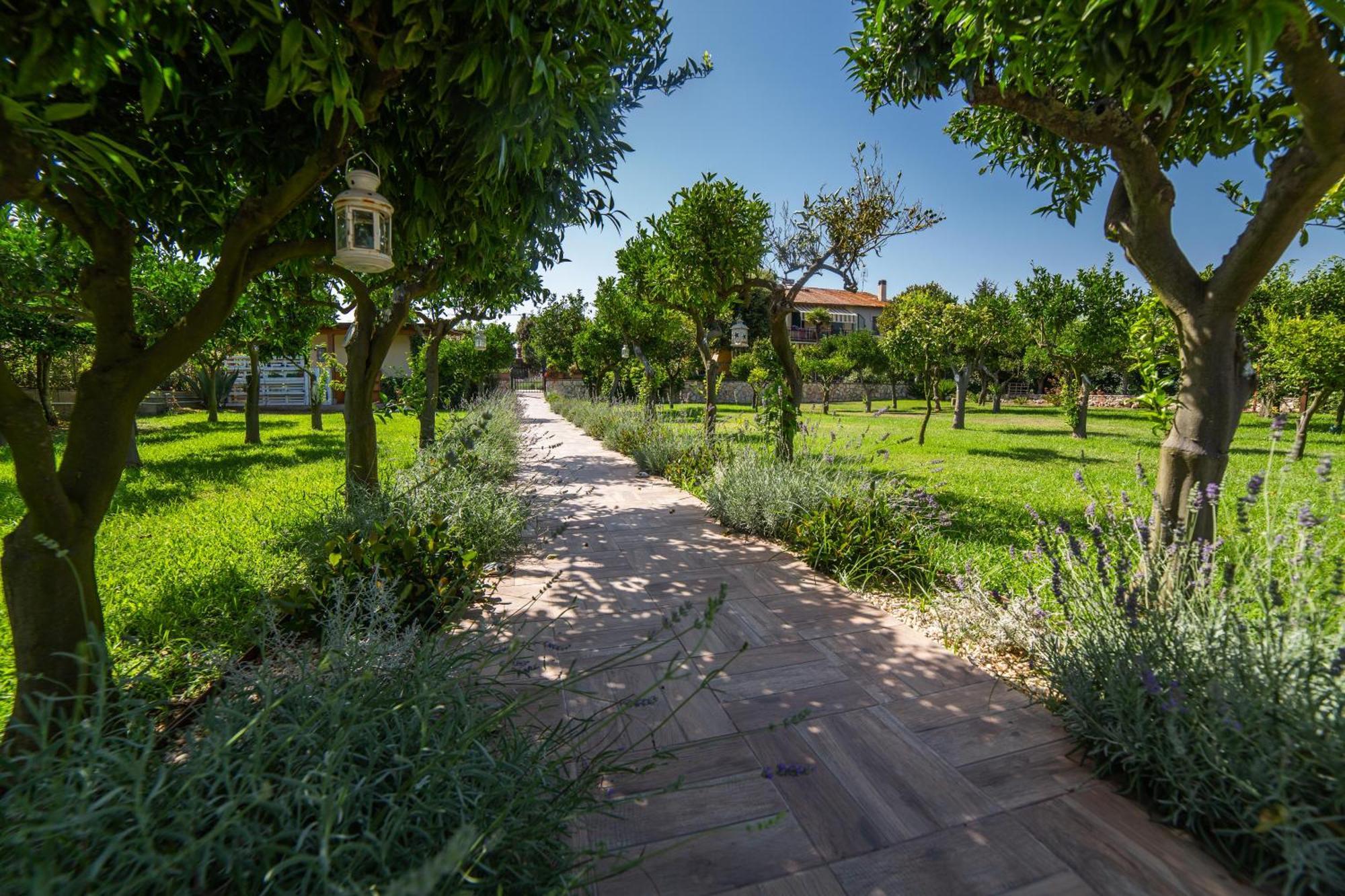 I Lecci Guesthouse San Felice Circeo Dış mekan fotoğraf